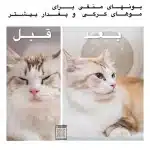 2024-03-12 11.17.55_11zon