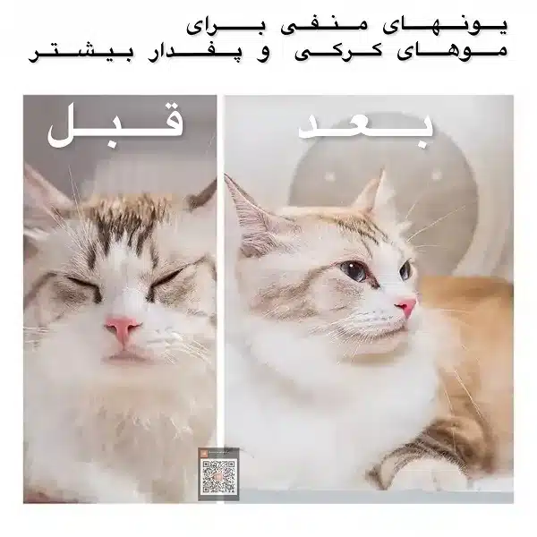 باکس خشک کن حیوانات خانگی پت کیت PETKIT مدل Air salon MAX - تصویر 17