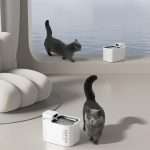 61cuXqcP8dL._AC_SL1500_