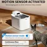 81i+PCO1i3L._AC_SL1500_