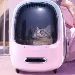 c2356ec9e72ca607c88f131d588a3c300cfb4eb2_1751185450