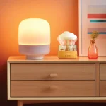 303bf5ad8ced07b84e9e9acebda178ca5d8d55ce_1731137735