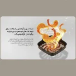 5262cb36fd3236a7b981399953e5cf0c61a2a488_1735514992