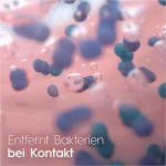 5c0aede2bcee4d03f70885137d38b8b676f681c3_1746010877